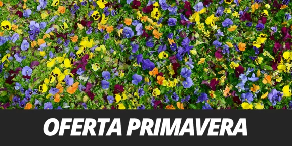 BANNER - OFERTA PRIMAVERA