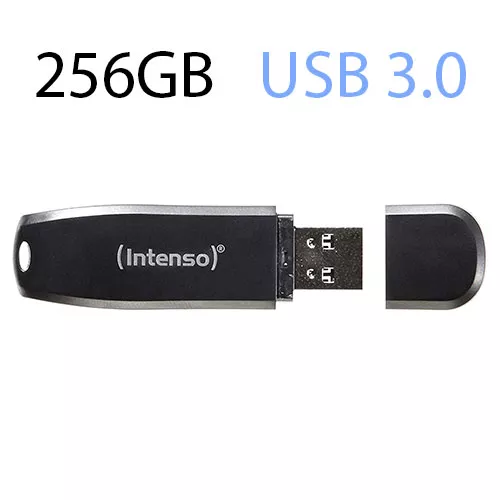 MEMORIA EXTERNA USB 3.2 256GB INTENSO