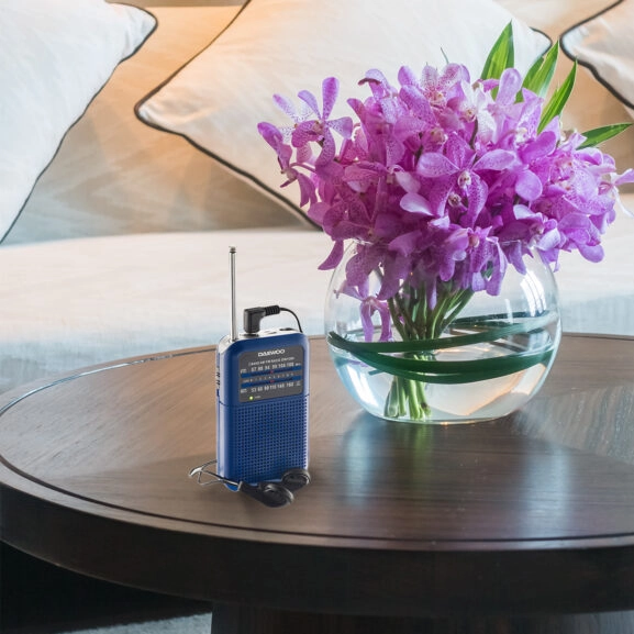 RADIO PORTATIL AZUL CON ALTAVOZ DAEWOO - Image 8