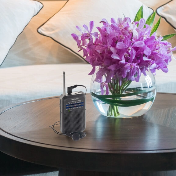 RADIO PORTATIL GRIS CON ALTAVOZ DAEWOO - Image 7