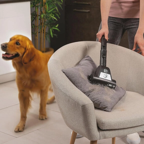 ASPIRADOR SIN BOLSA TRINEO PET HOOVER - Image 4