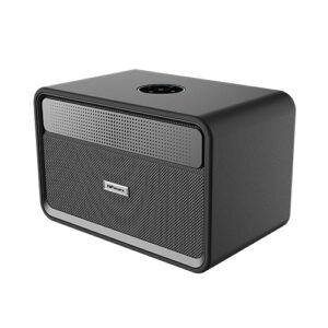 ALTAVOZ BT 100W MADERA PASSIONX HIFUTURE