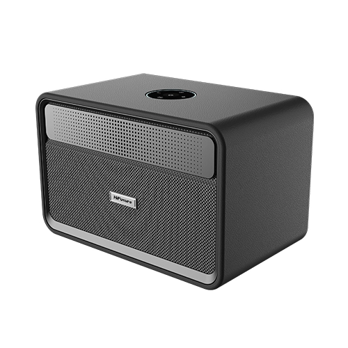 ALTAVOZ BT 100W MADERA PASSIONX HIFUTURE