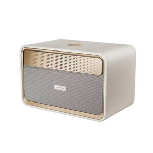 ALTAVOZ BT 100W MADERA PASSIONX HIFUTURE