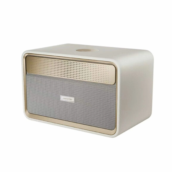 ALTAVOZ BT 100W MADERA PASSIONX HIFUTURE - Image 2