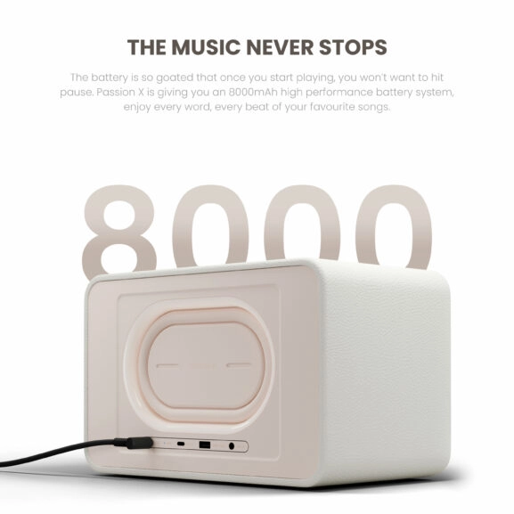 ALTAVOZ BT 100W MADERA PASSIONX HIFUTURE - Image 7