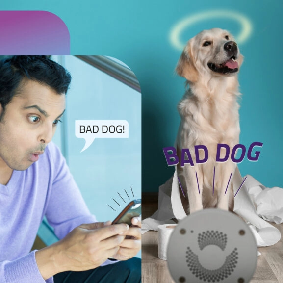 CAMARA INTELIGENTE WIFI DOMOTICA ALECTO - Image 5