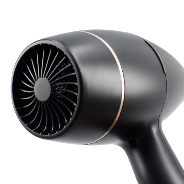 SECADOR PROFESIONAL 2.200W MOTOR AC - Image 4