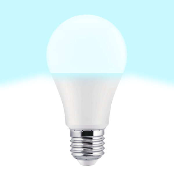 BOMBILLA LED PA ALUM. A60 E27 10W 5.000K - Image 2