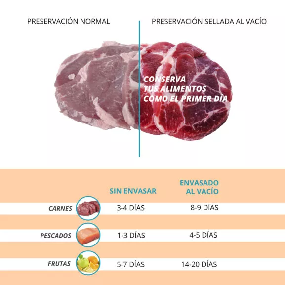 ENVASADORA AL VACIO FINICA FRESH DE TM - Image 3